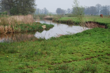 De Regge; deels al weer terug gegeven aan de natuur!